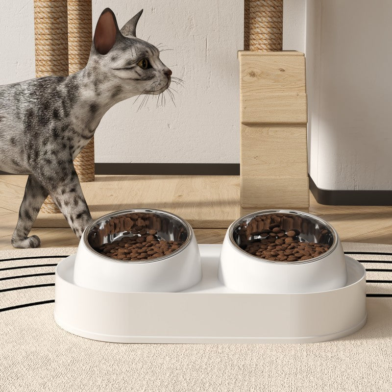 Pet Double Bowl