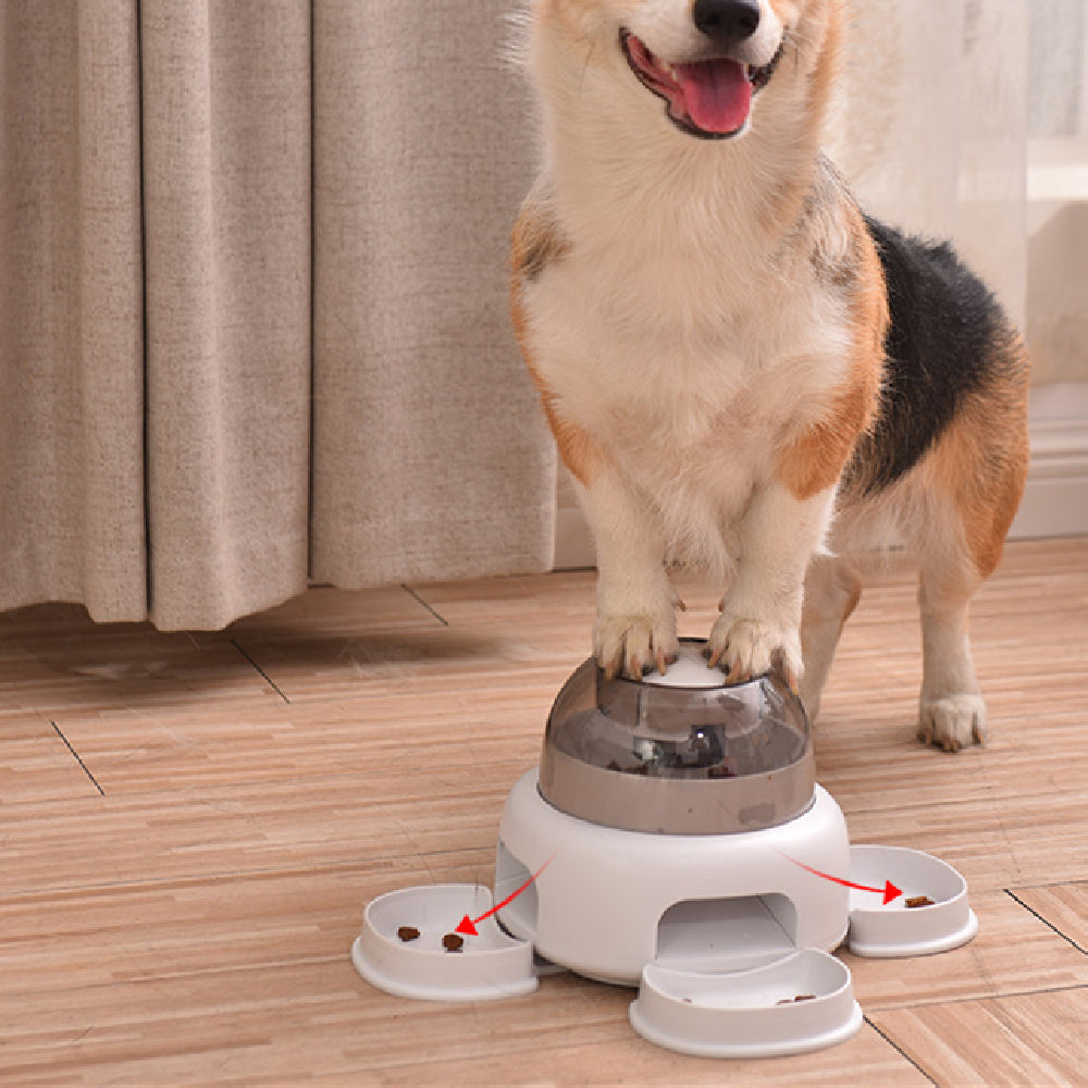 Automatic Pet Feeder