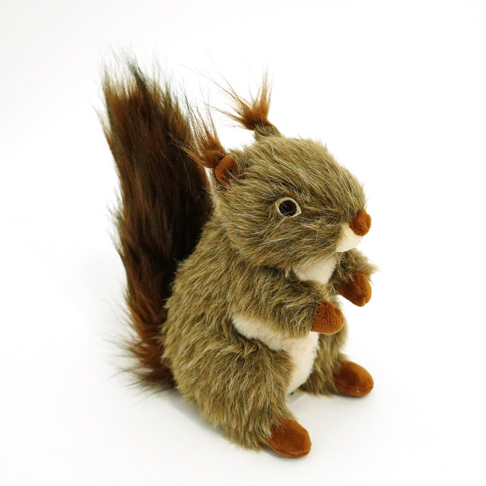 Squeaky Dog Toy