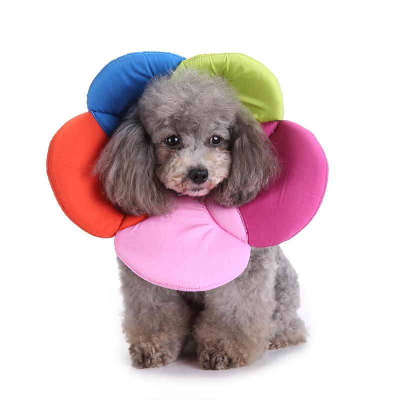 Pet Grooming Kits Dog Bite Ring Birth Control