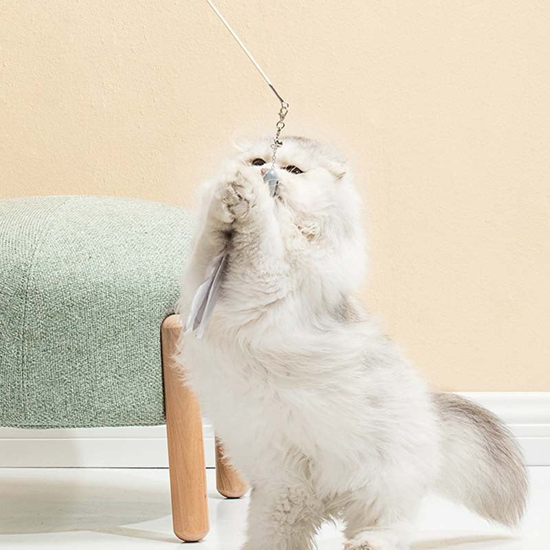 Cat Toy Laser Set Feather