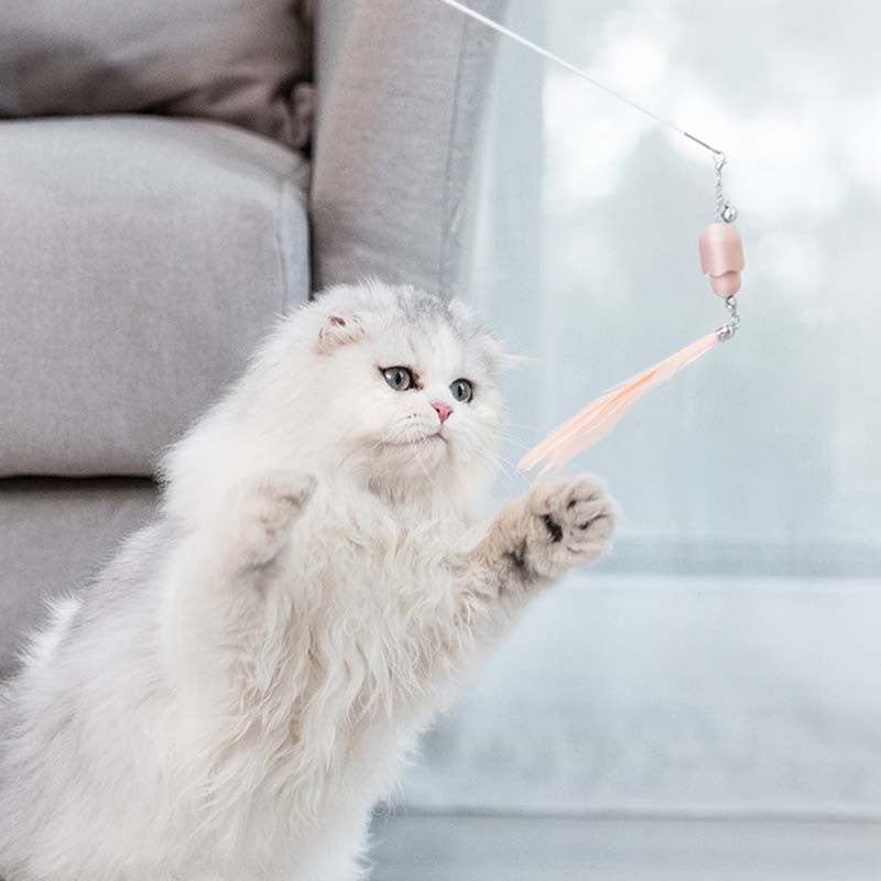Cat Toy Laser Set Feather