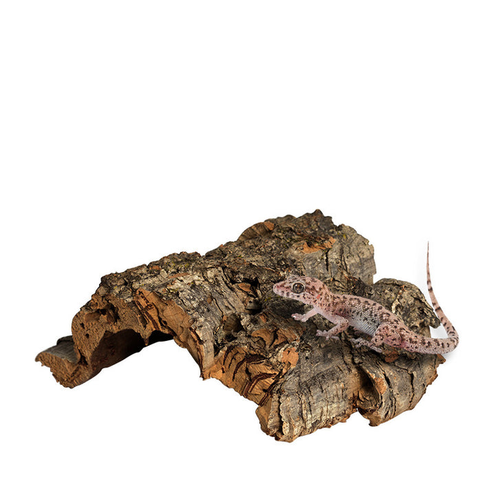 Reptile Terrarium Decoration Ornaments