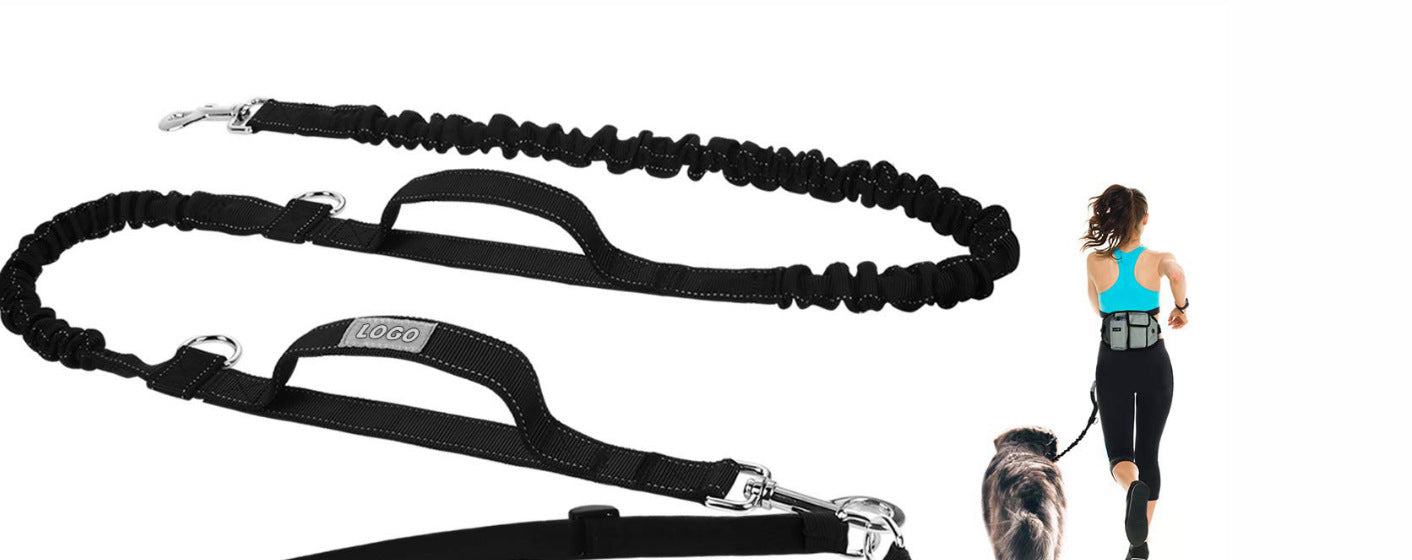Dog Training Leash Waist