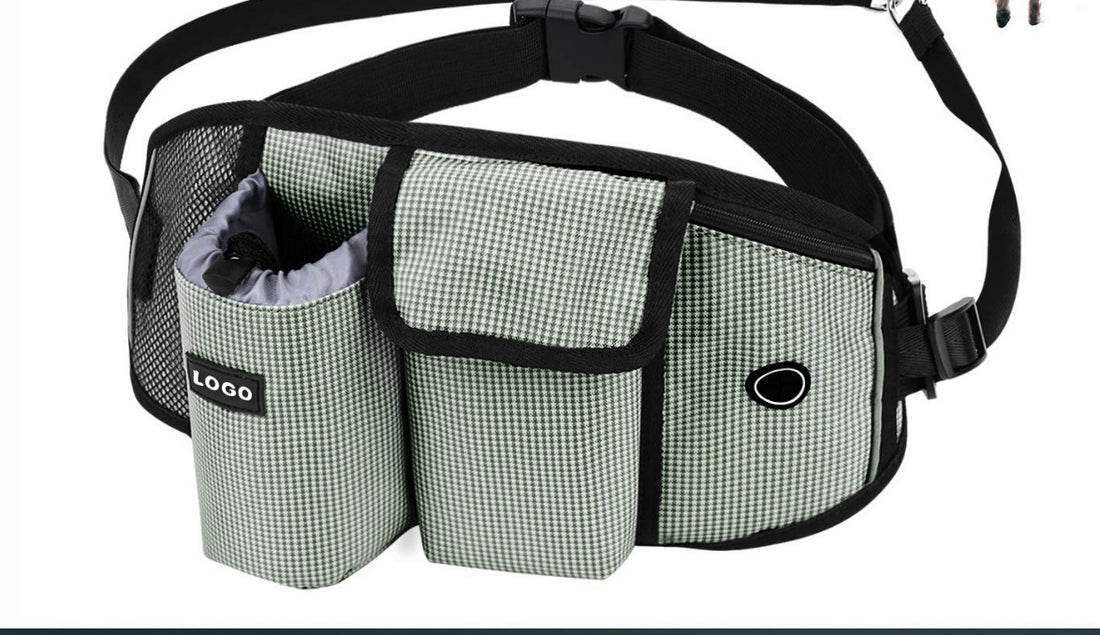 Dog Training Leash Waist