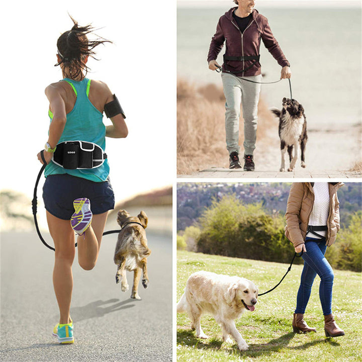 Dog Training Leash Waist