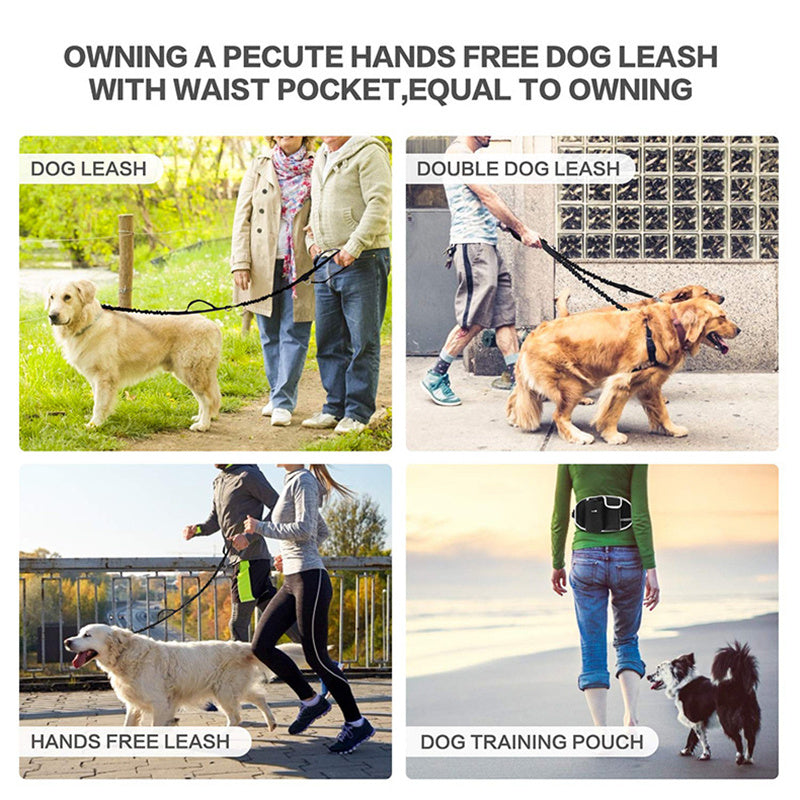 Dog Training Leash Waist
