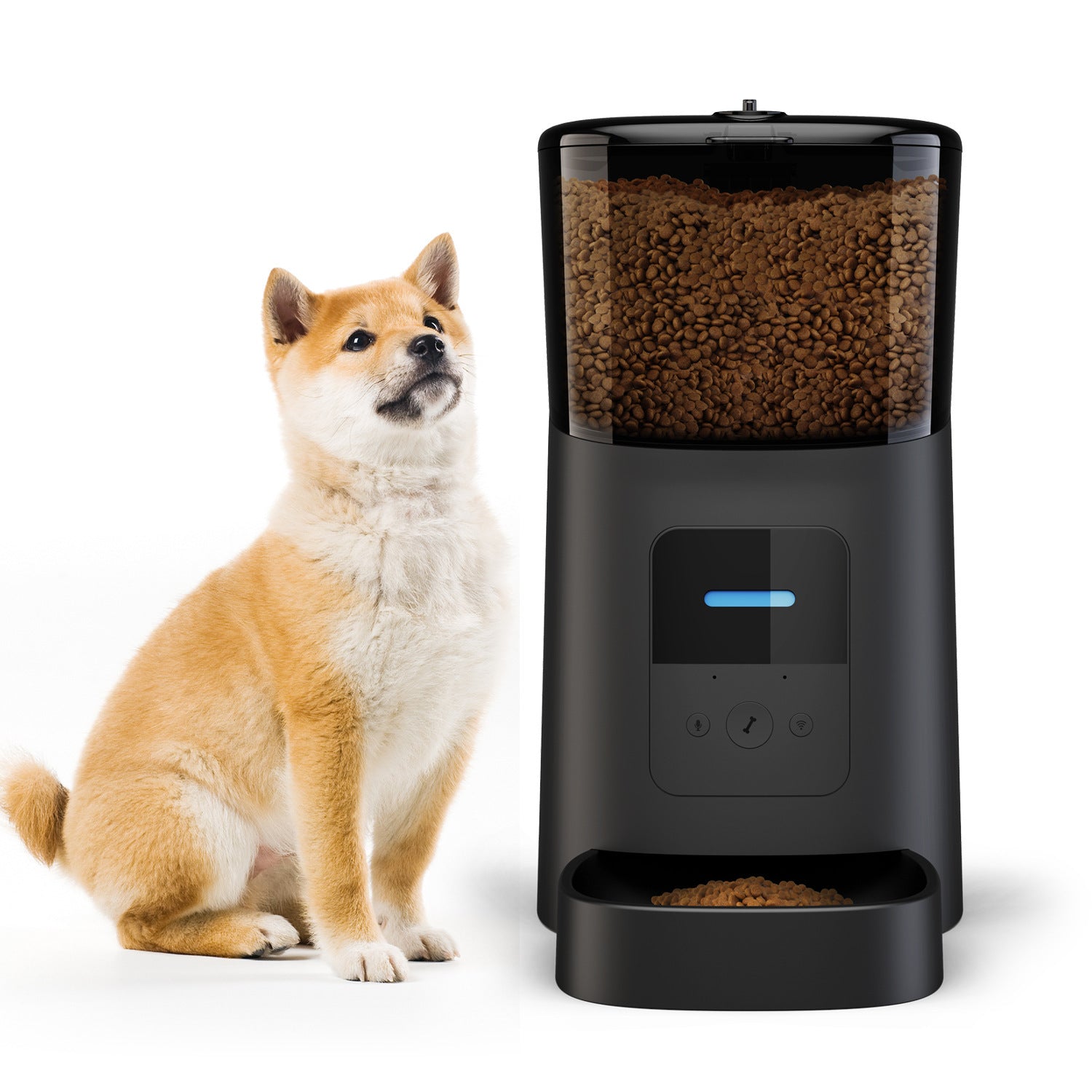 Pet feeder automatic cat and dog
