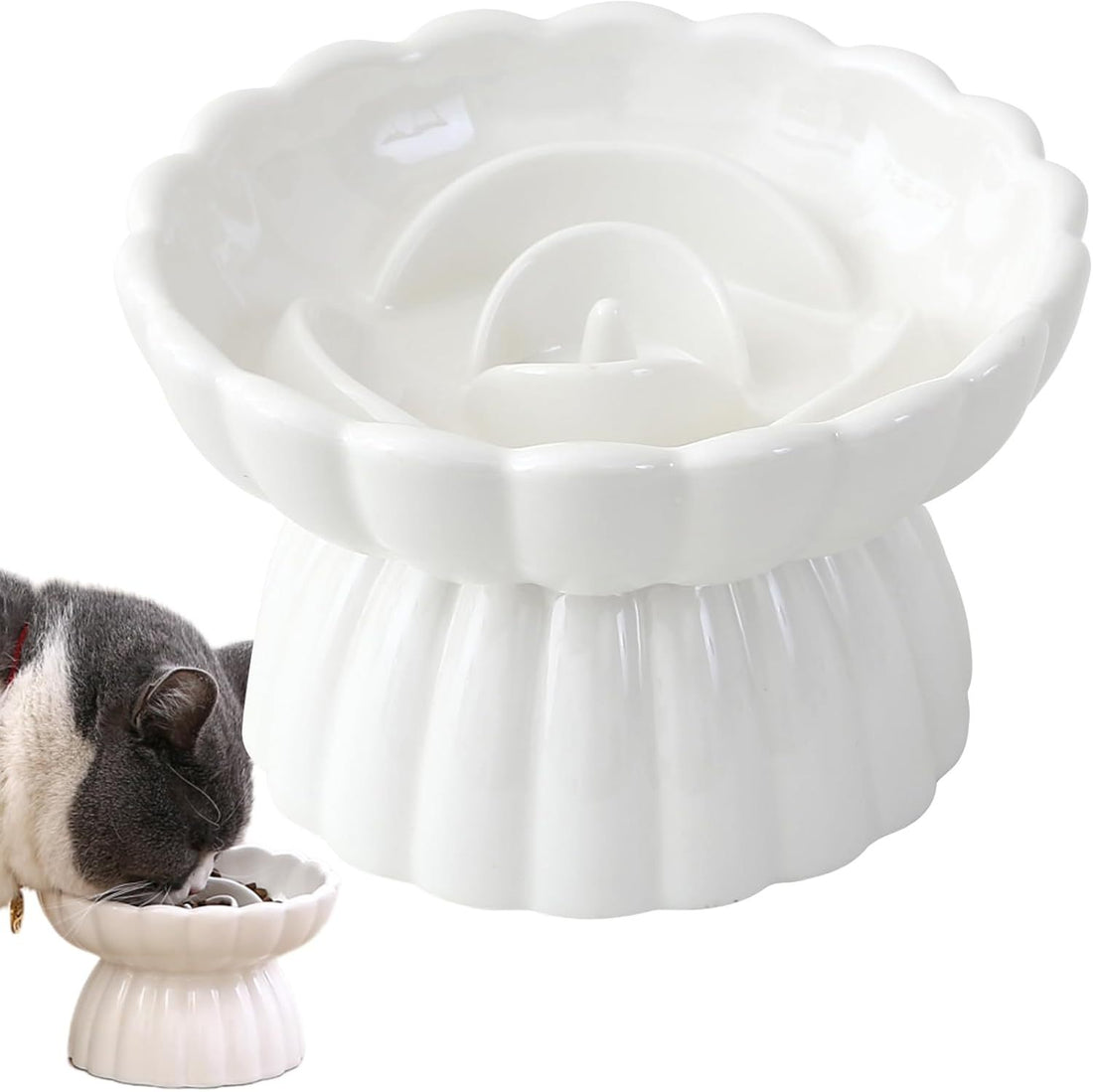 Elevated Ceramic Slow Feed