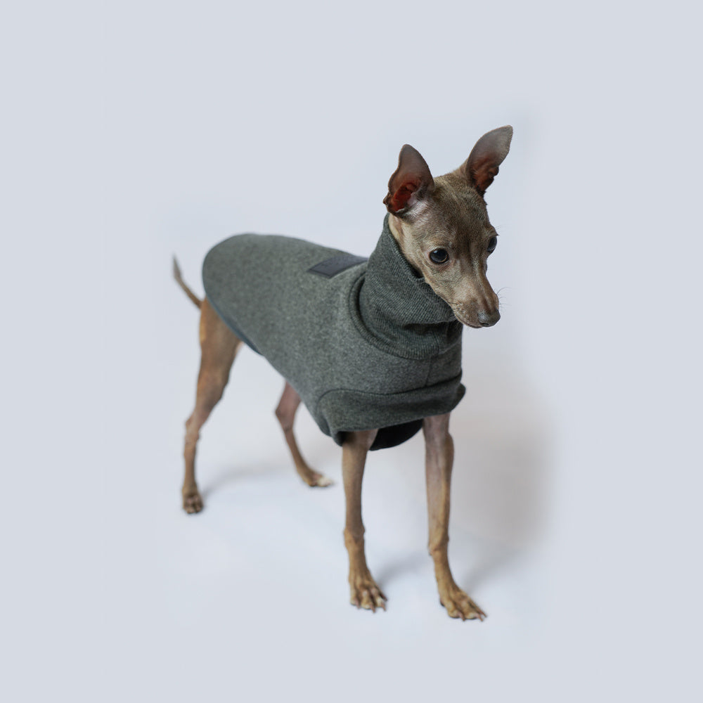 Dog Coat Autumn And Winter