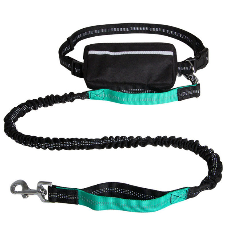 Nylon Reflective Dog Leash