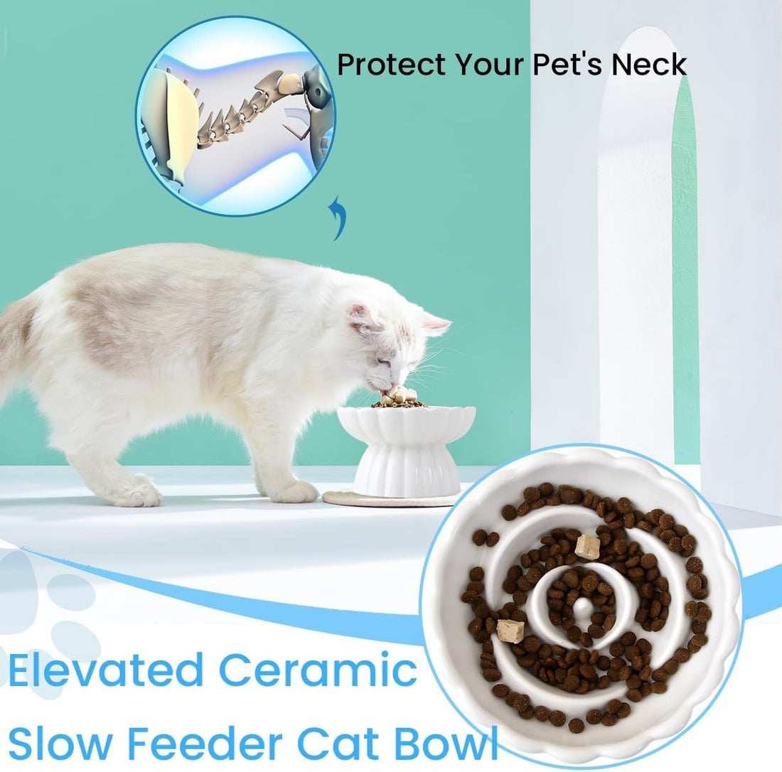 Elevated Ceramic Slow Feed