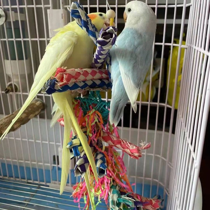 Parrot Toy Woodskin Cage Supplies