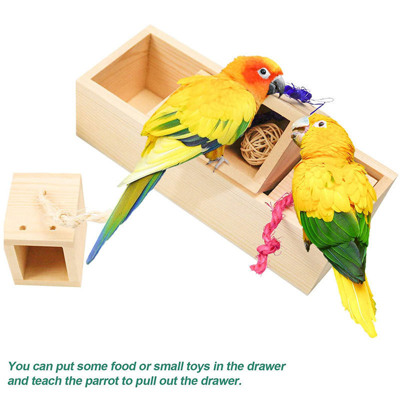 Parrot Toy Bird Supplies