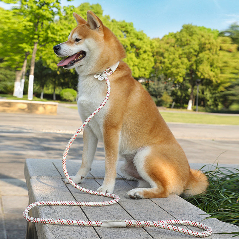 Dog Rope Pet Pulling Rope Puppy Strap
