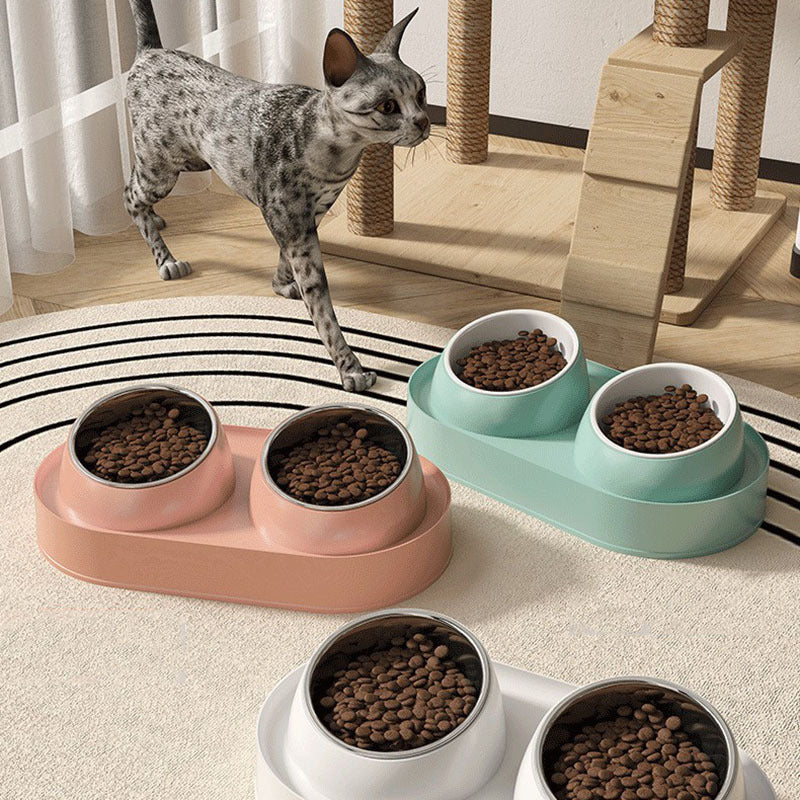 Pet Double Bowl