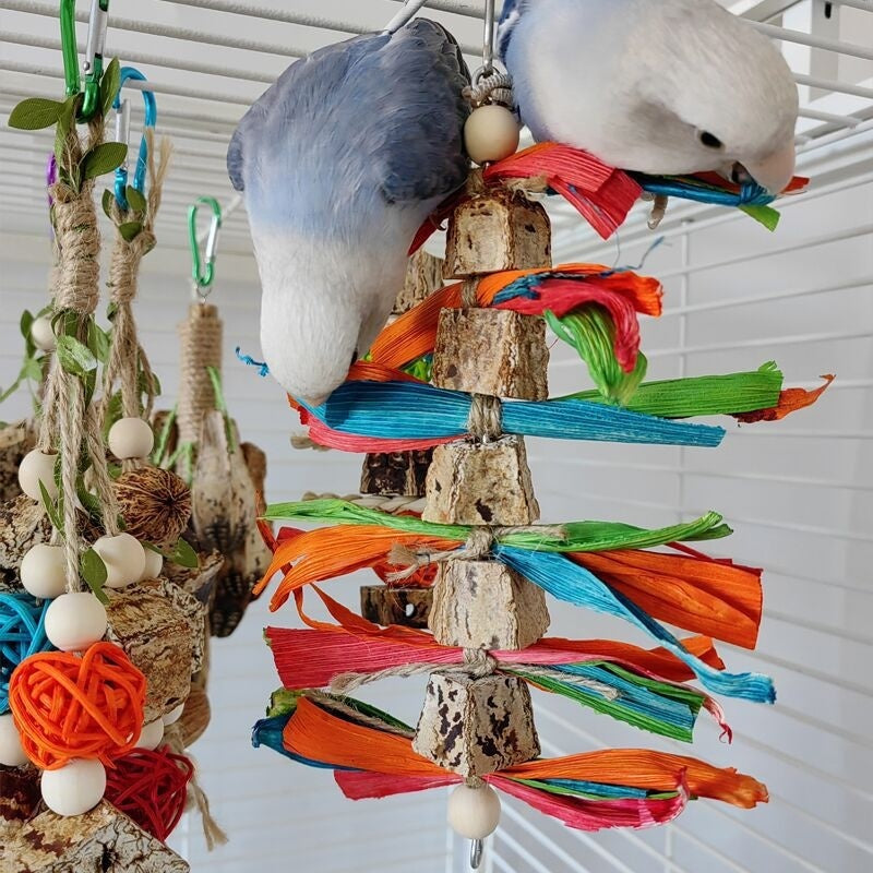 Parrot Toys Parrot Bite Supplies Bird Stand