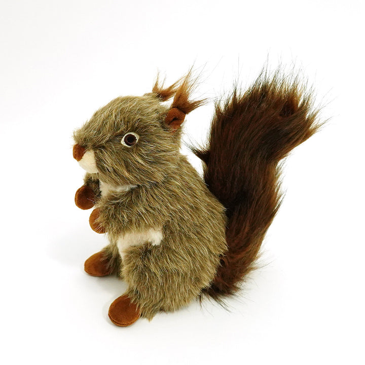 Squeaky Dog Toy