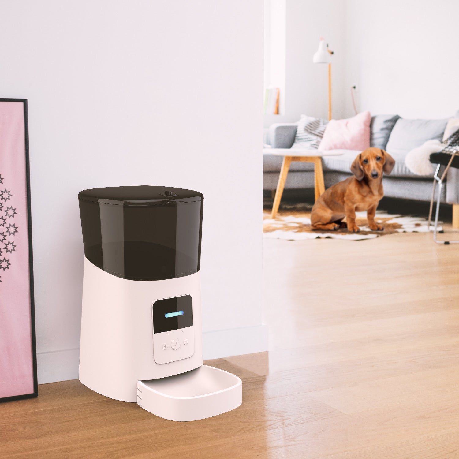 Pet feeder automatic cat and dog
