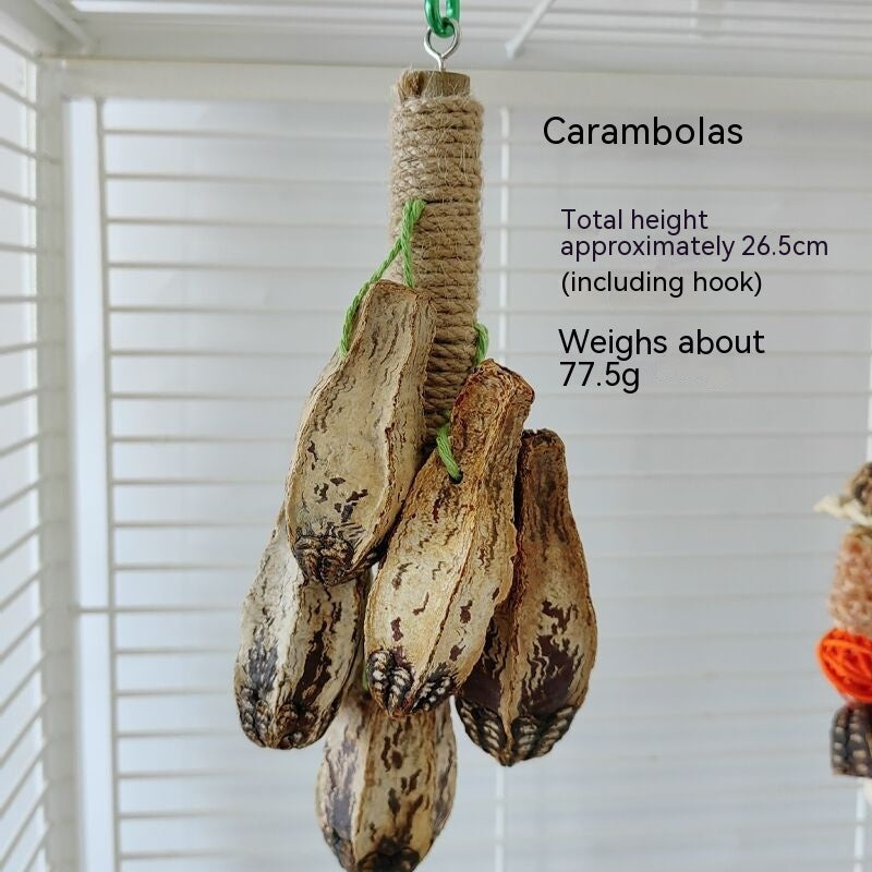 Parrot Toys Parrot Bite Supplies Bird Stand