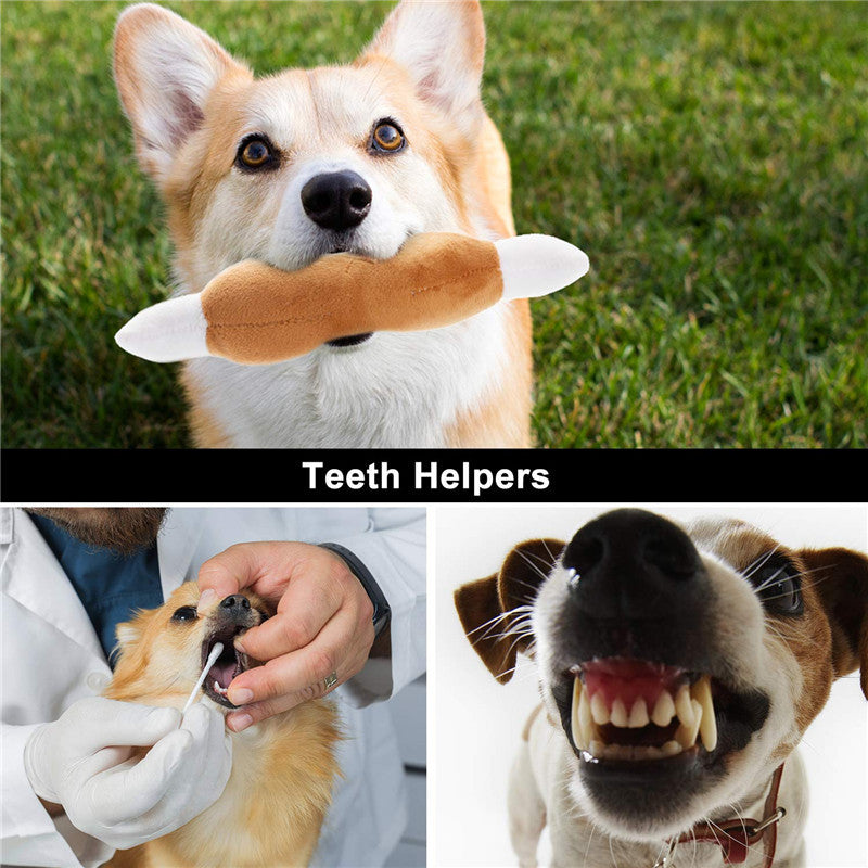 Fashion Dog Squeaky Game Plush Toy