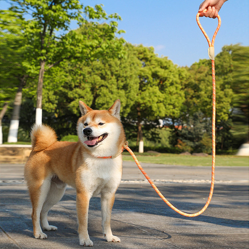 Dog Rope Pet Pulling Rope Puppy Strap