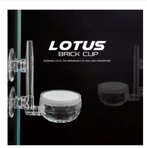 Clear Water Wind And Aquarium Supplies