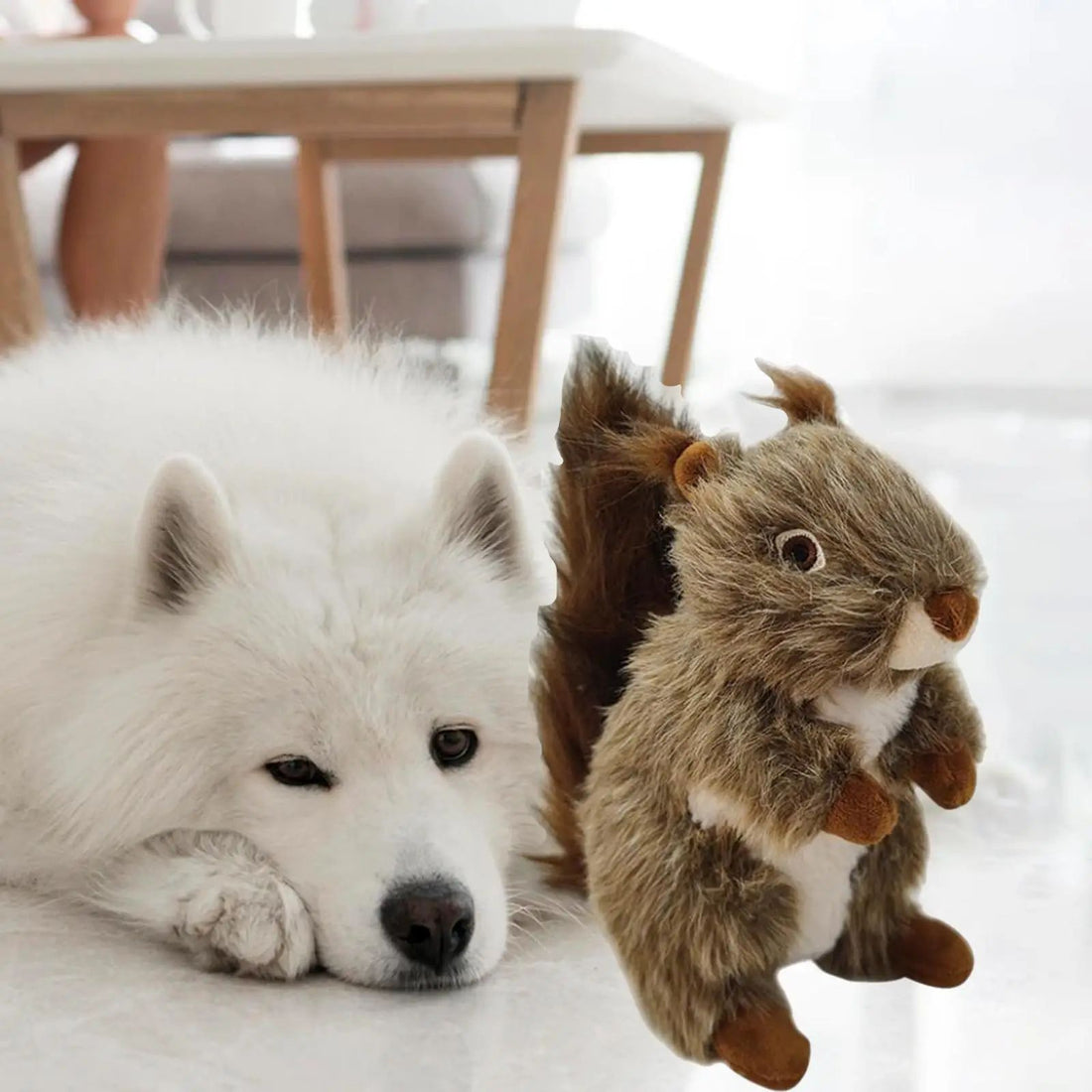 Squeaky Dog Toy