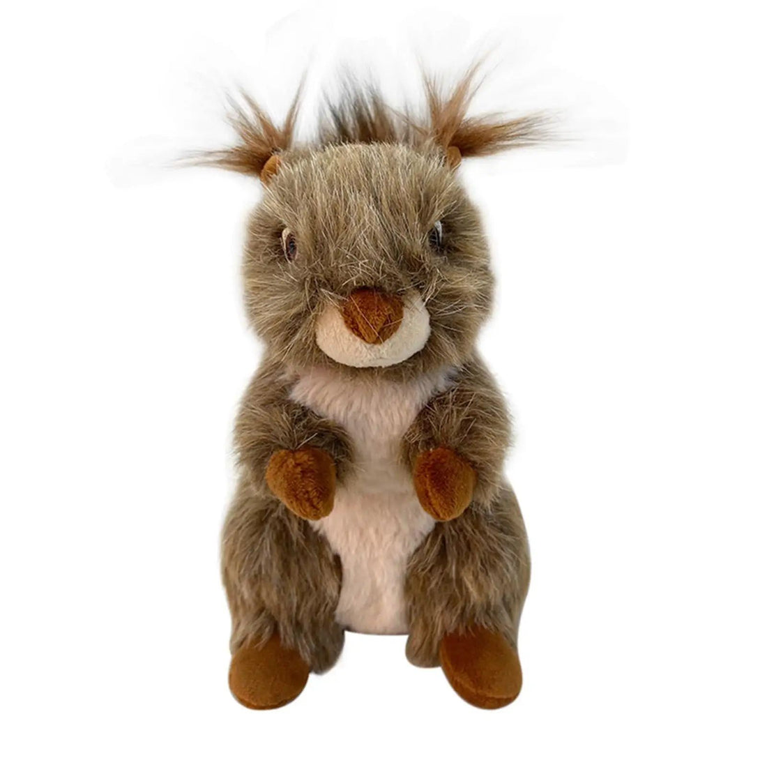 Squeaky Dog Toy