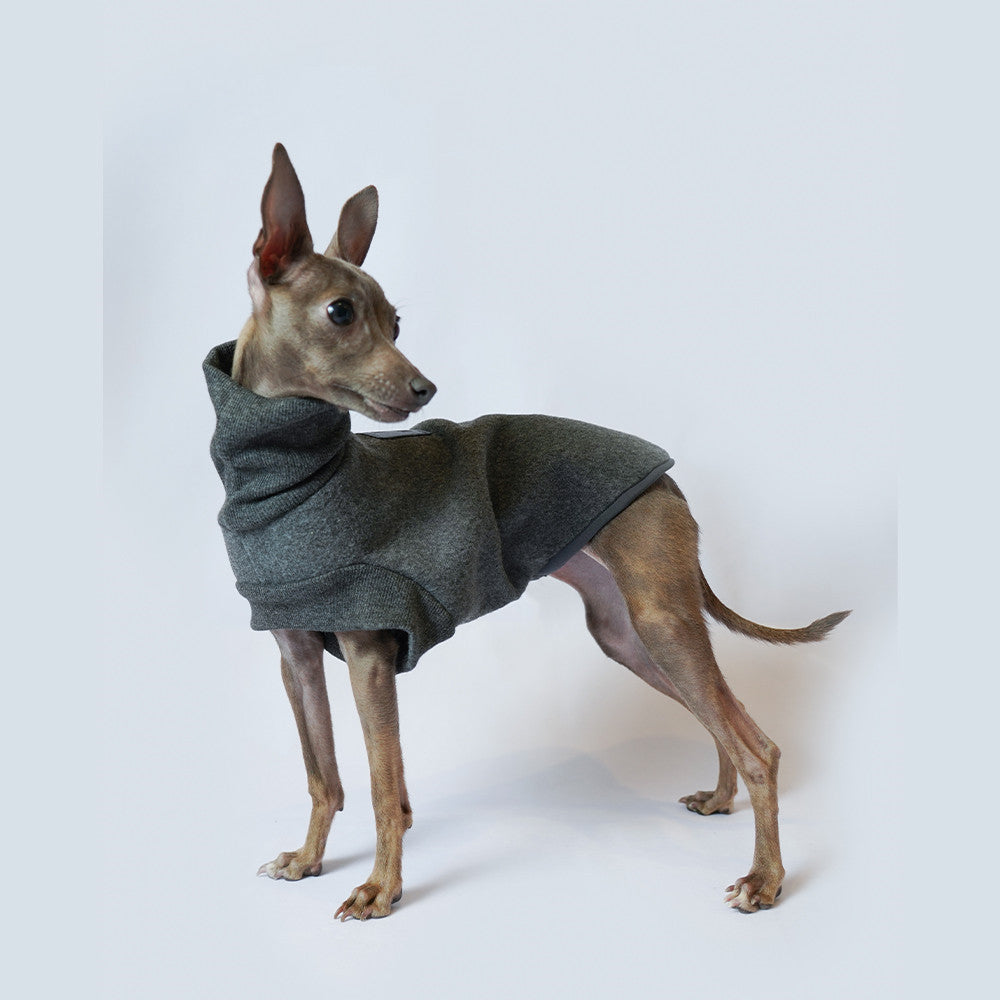 Dog Coat Autumn And Winter