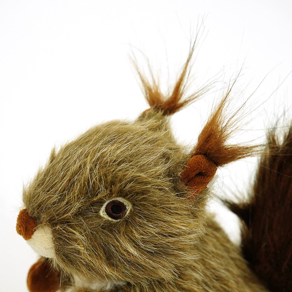 Squeaky Dog Toy