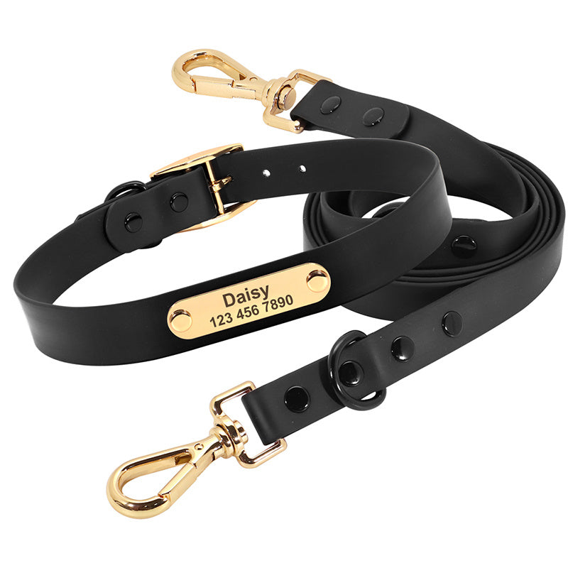 Collar Leash Medium Dog Teddy