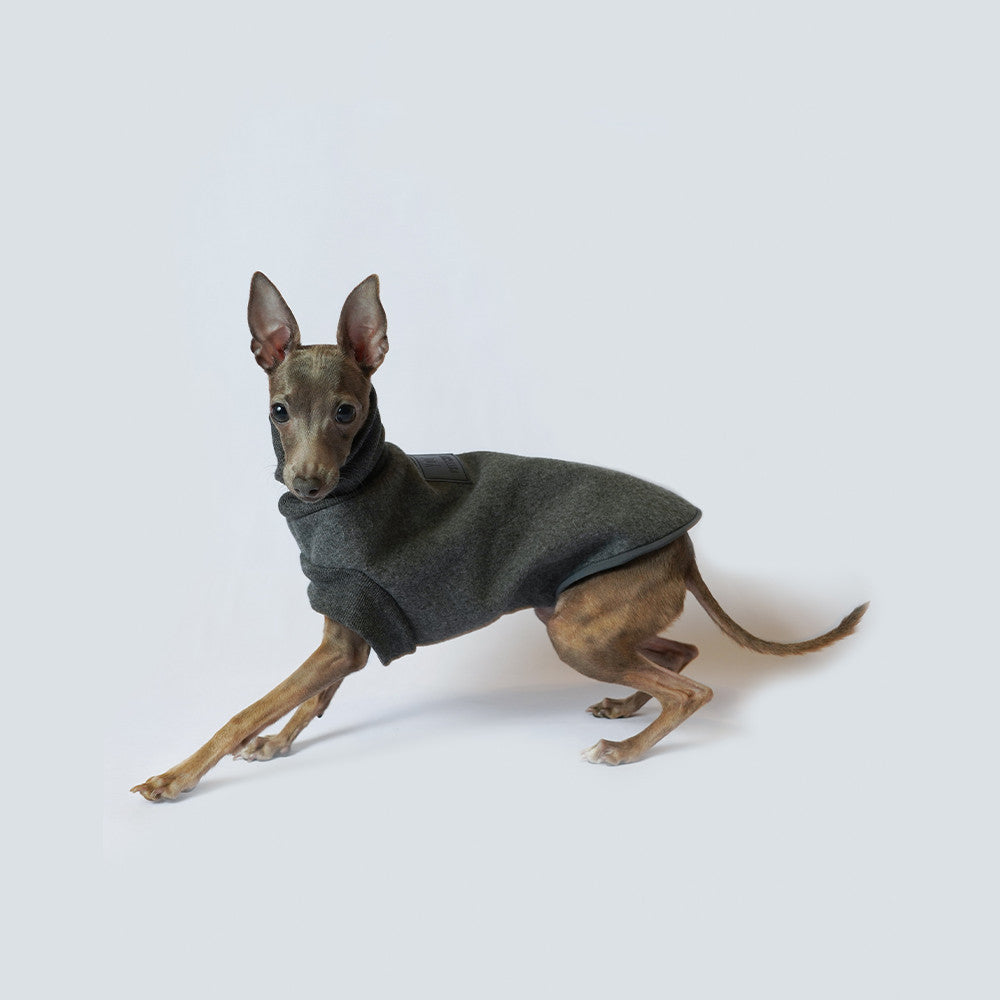 Dog Coat Autumn And Winter