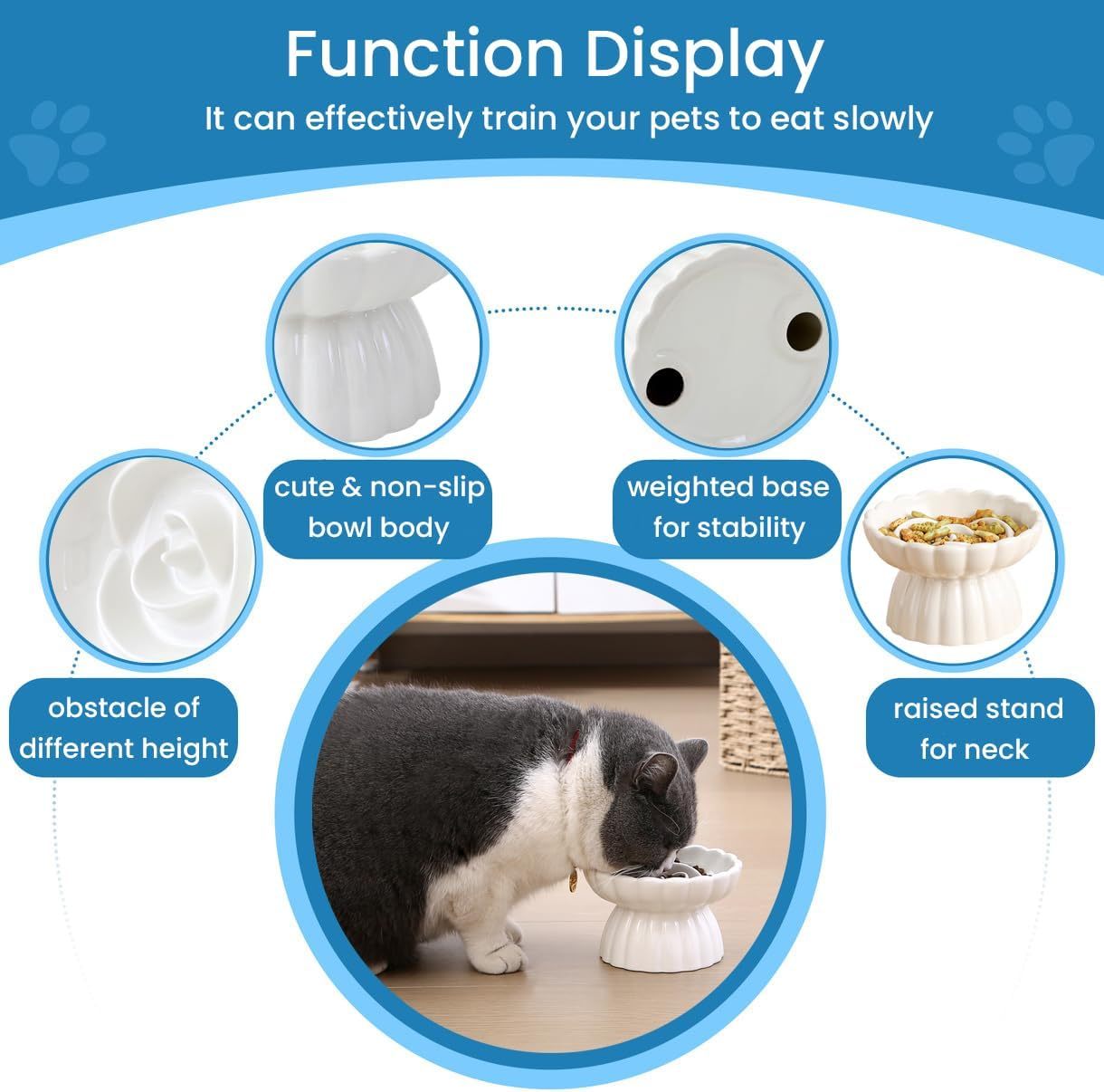 Elevated Ceramic Slow Feed