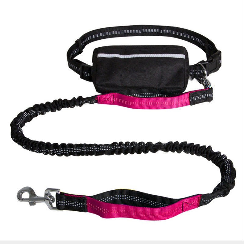 Nylon Reflective Dog Leash