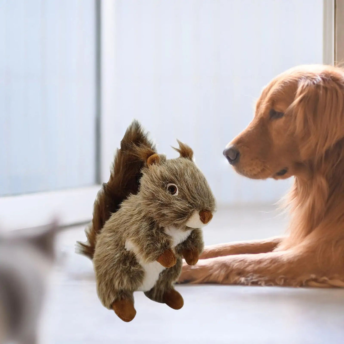 Squeaky Dog Toy
