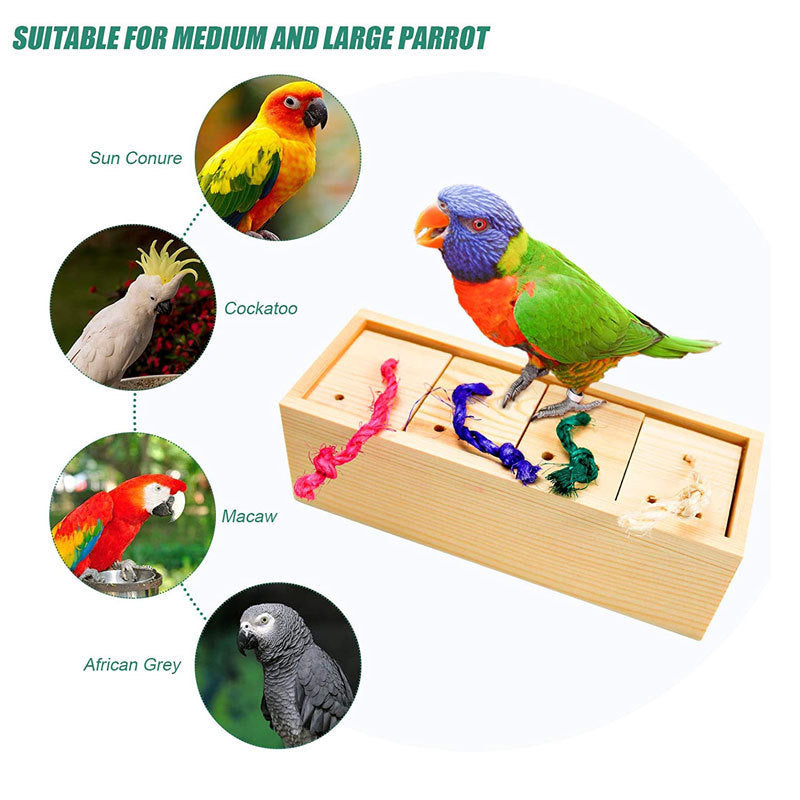 Parrot Toy Bird Supplies