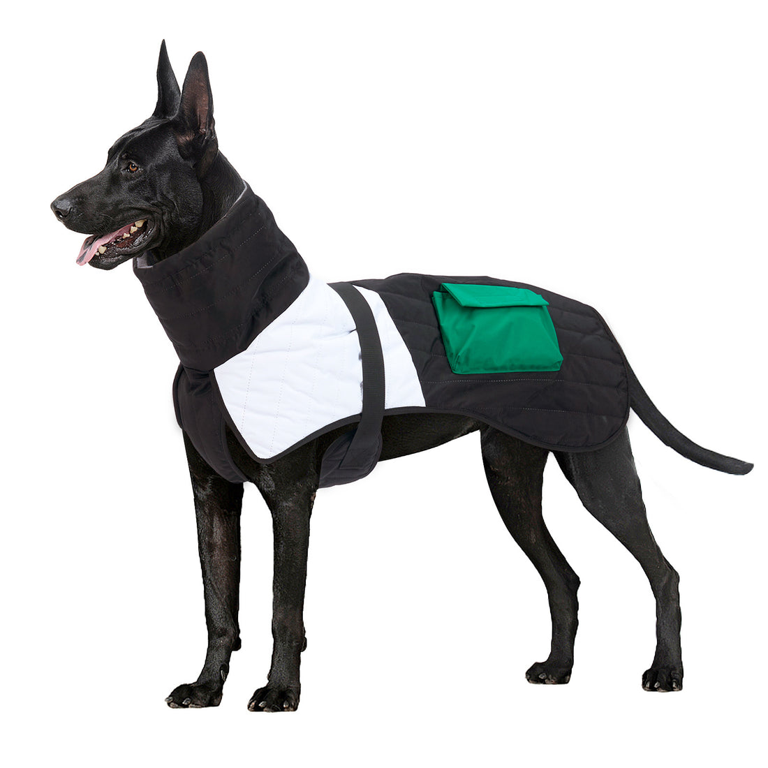 Pet Dog Clothes Winter Coat