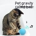 Automatic Pet Feeder