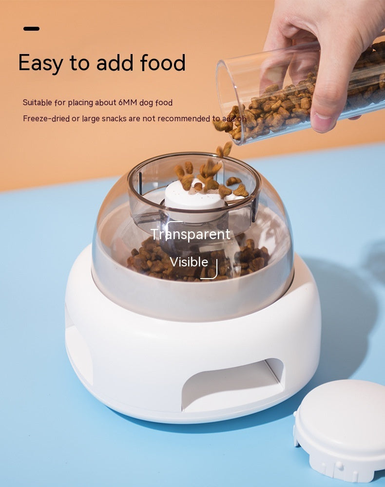 Automatic Pet Feeder