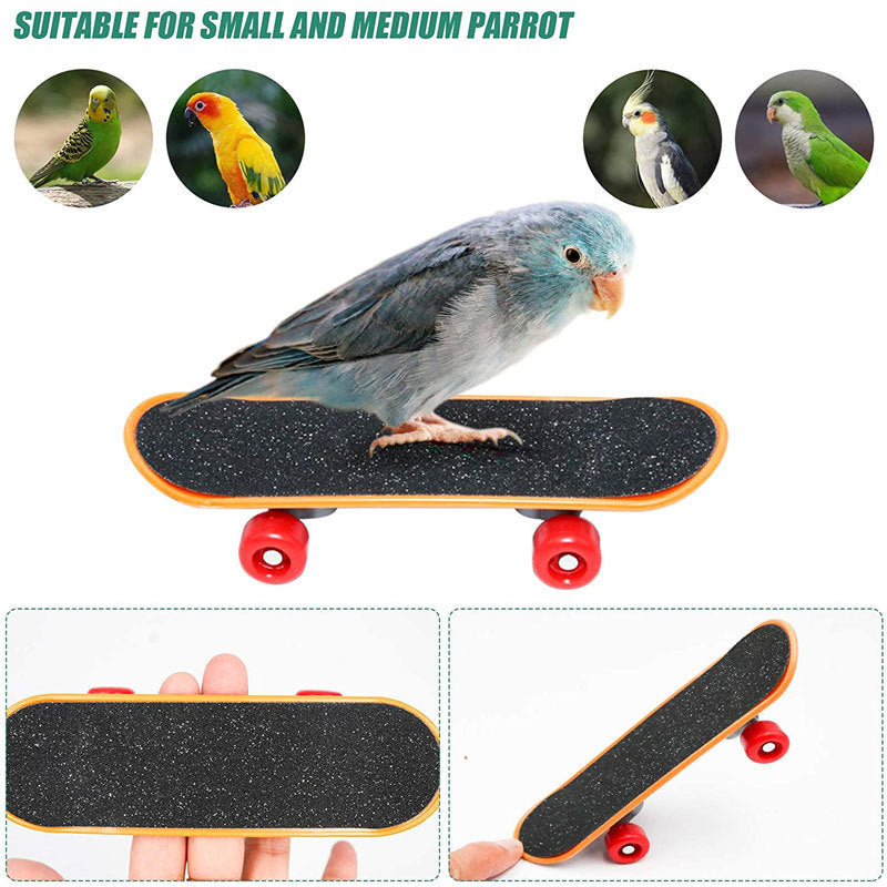 Parrot Toy Bird Supplies