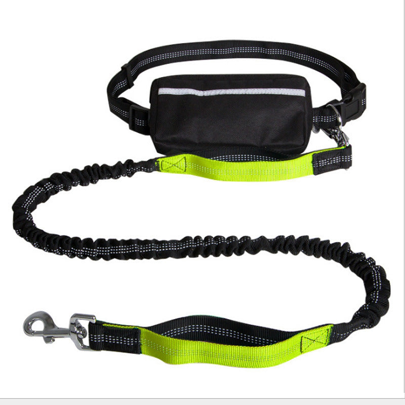 Nylon Reflective Dog Leash